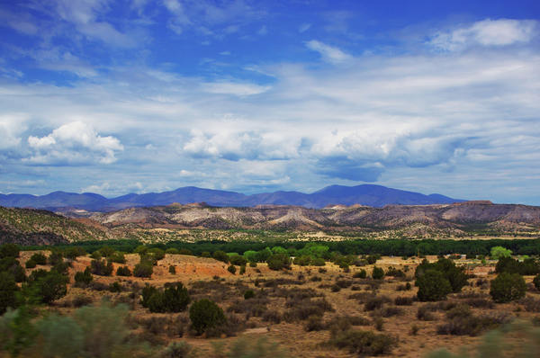 Image result for new mexico desert landscape
