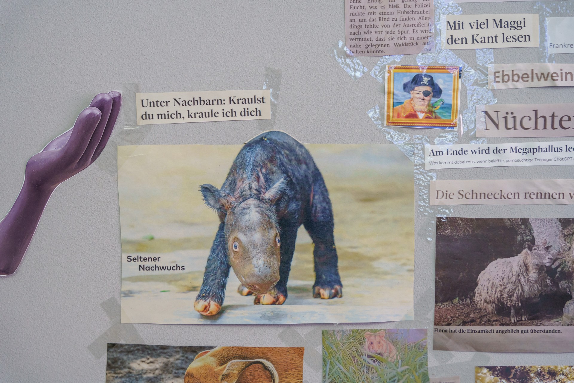 Kreative Collage mit einem seltenen Tier und verschiedenen witzigen Texten.