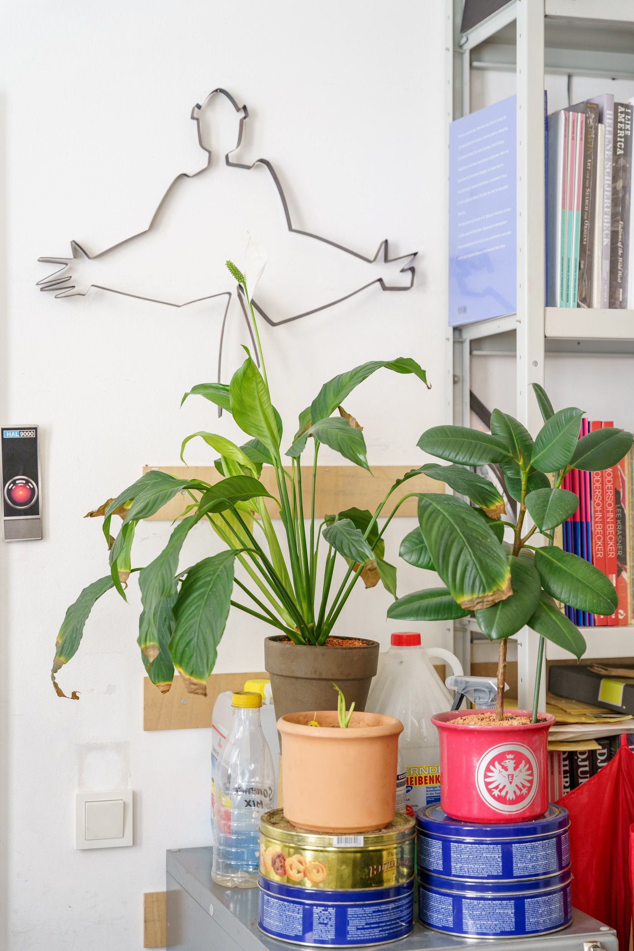 Pflanzen in Töpfen auf einem Tisch, mit Wanddekoration und Bücherregalen im Hintergrund.