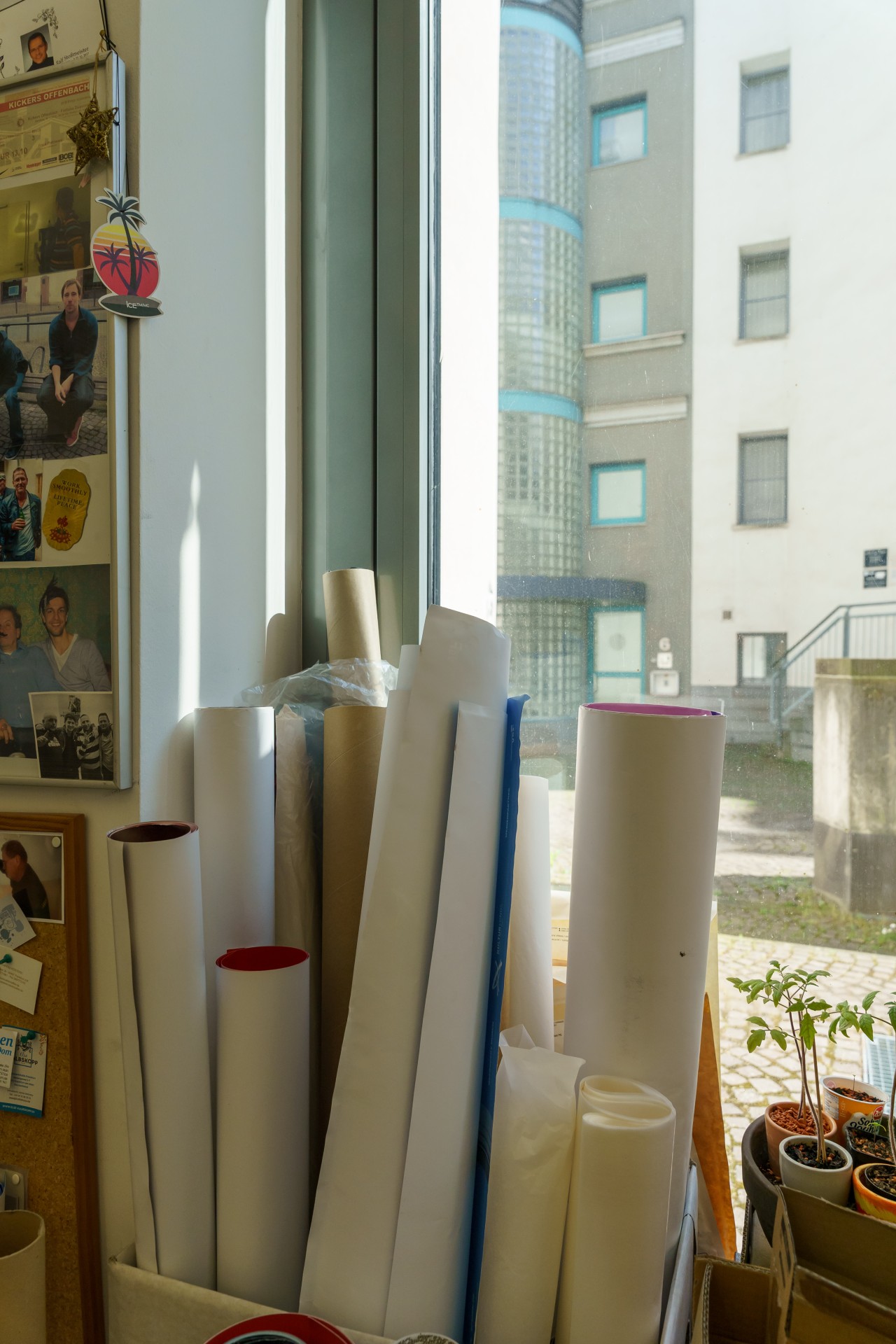 Auf einem Tisch stehen Pappröhren und Pflanzen, im Hintergrund blickt ein Fenster auf ein Gebäude.