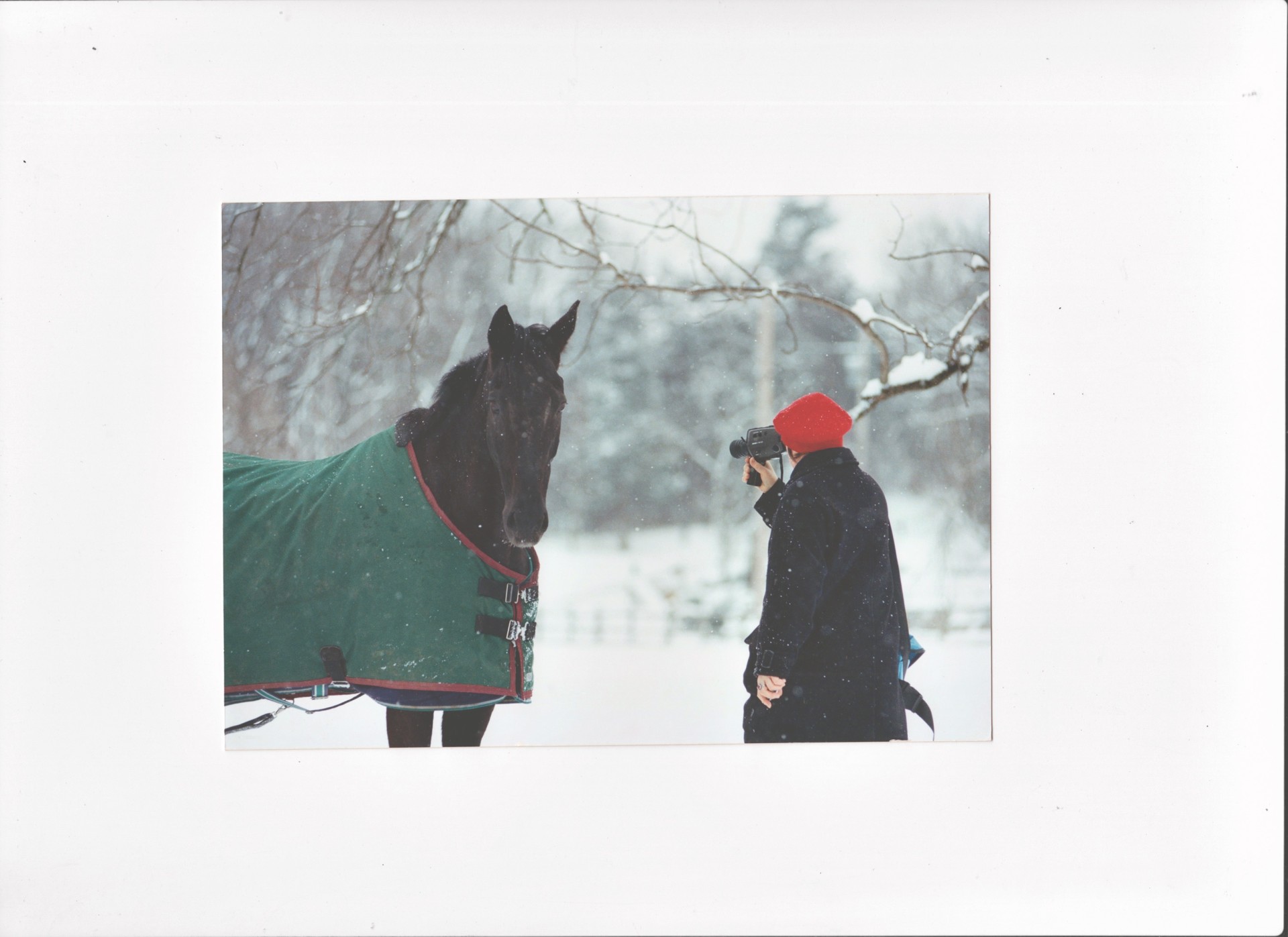 Person mit roter Mütze filmt ein Pferd im Schnee, umgeben von einer winterlichen Landschaft.