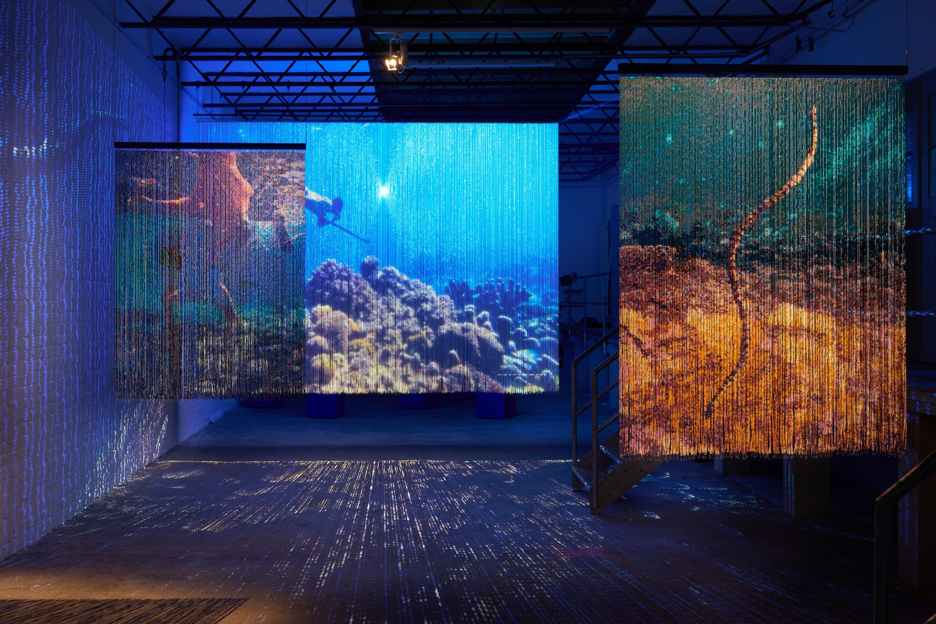 Art installation with hanging, transparent strips depicting underwater landscapes and corals.