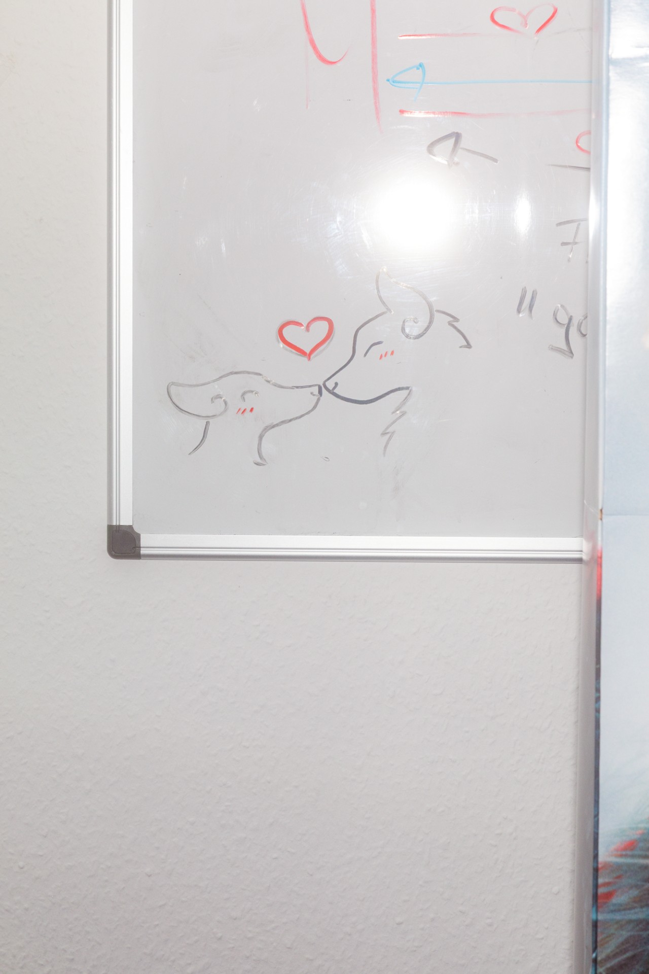 Zeichnung von zwei süßen Hunden, die sich küssen, mit einem Herz darüber auf einer weißen Tafel.