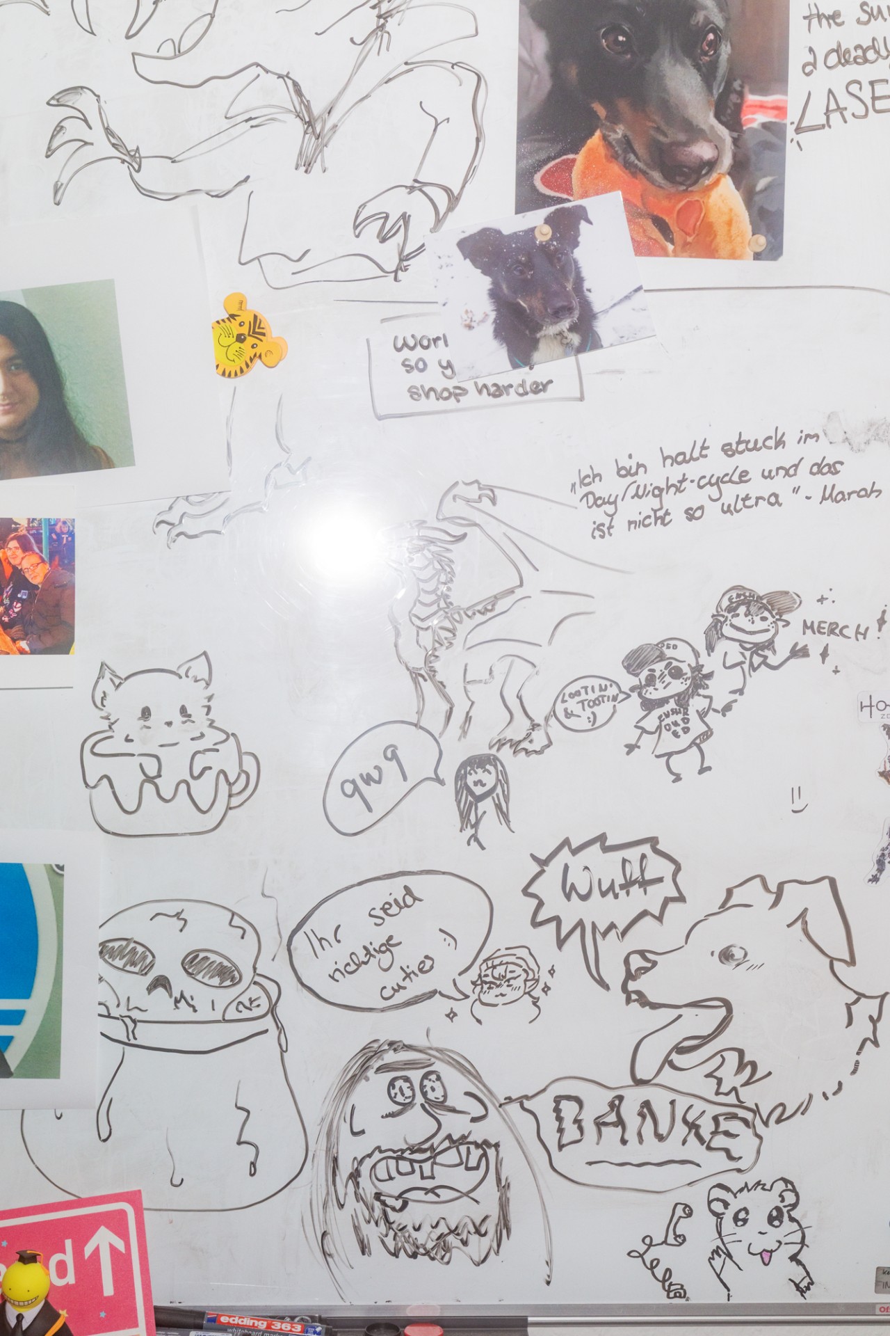 Wandtafel mit humorvollen Zeichnungen, Notizen und Fotos von Tieren und Personen, kreativ und ansprechend gestaltet.