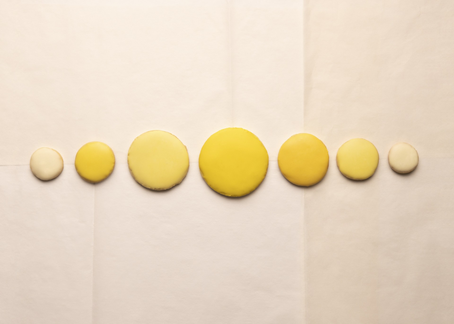 Eine Auswahl runder Kekse in verschiedenen Gelbtönen auf einem hellen Hintergrund.