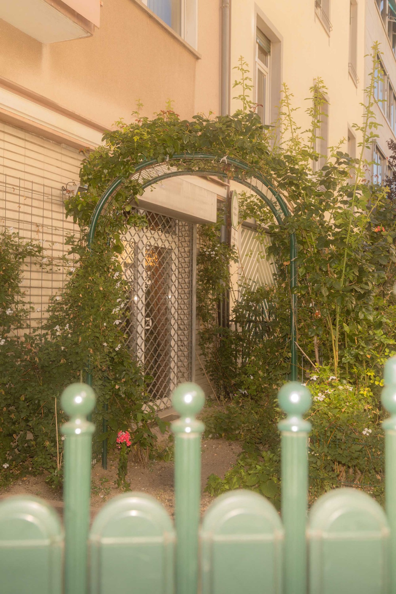 Grüner Rosenbogen mit Pflanzen umrahmt den Eingang eines Gebäudes, umgeben von einem Zaun.