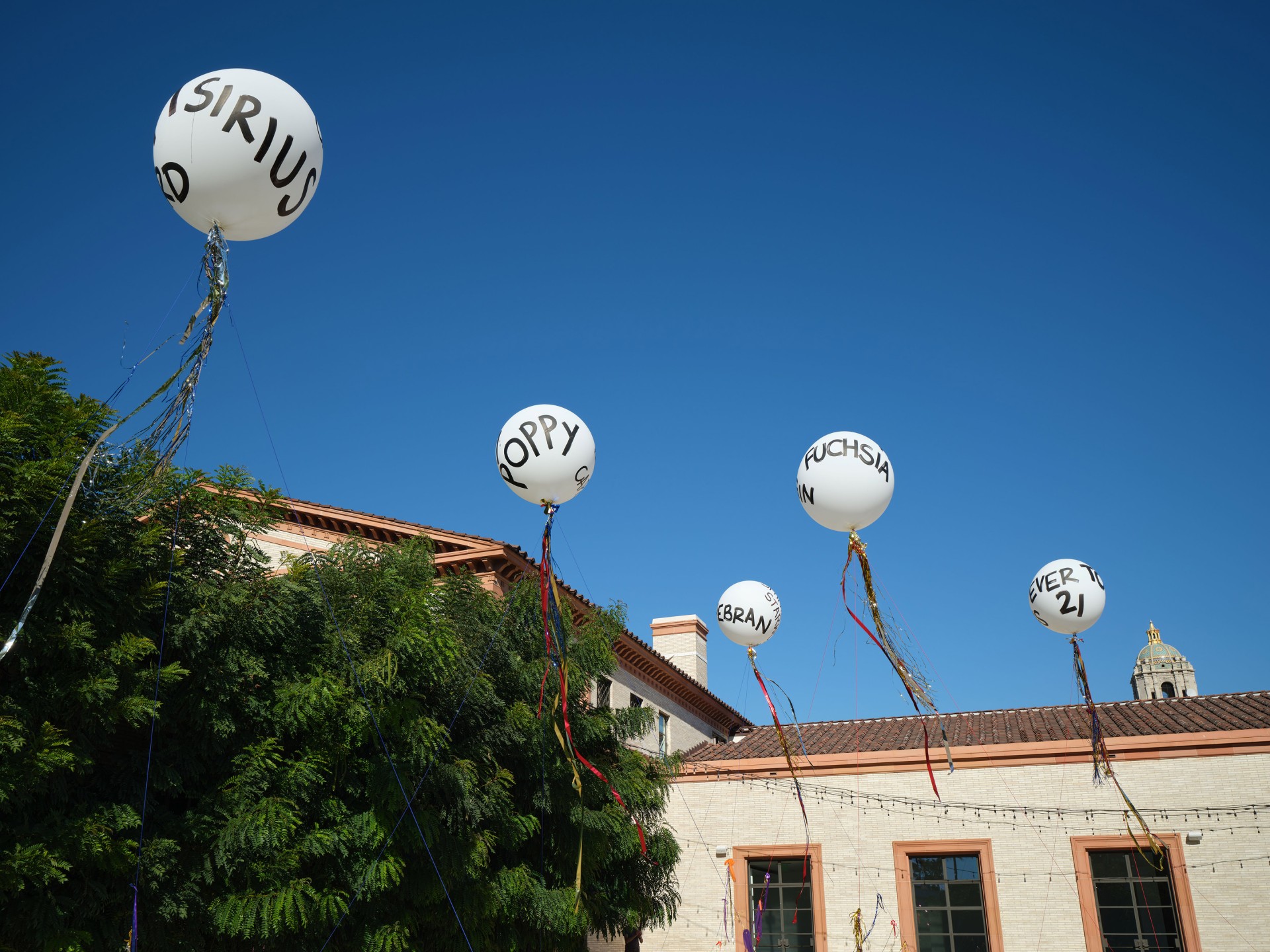 Weiße Ballons mit schwarzen Aufdrucken schweben über einem Gebäude unter einem blauen Himmel.