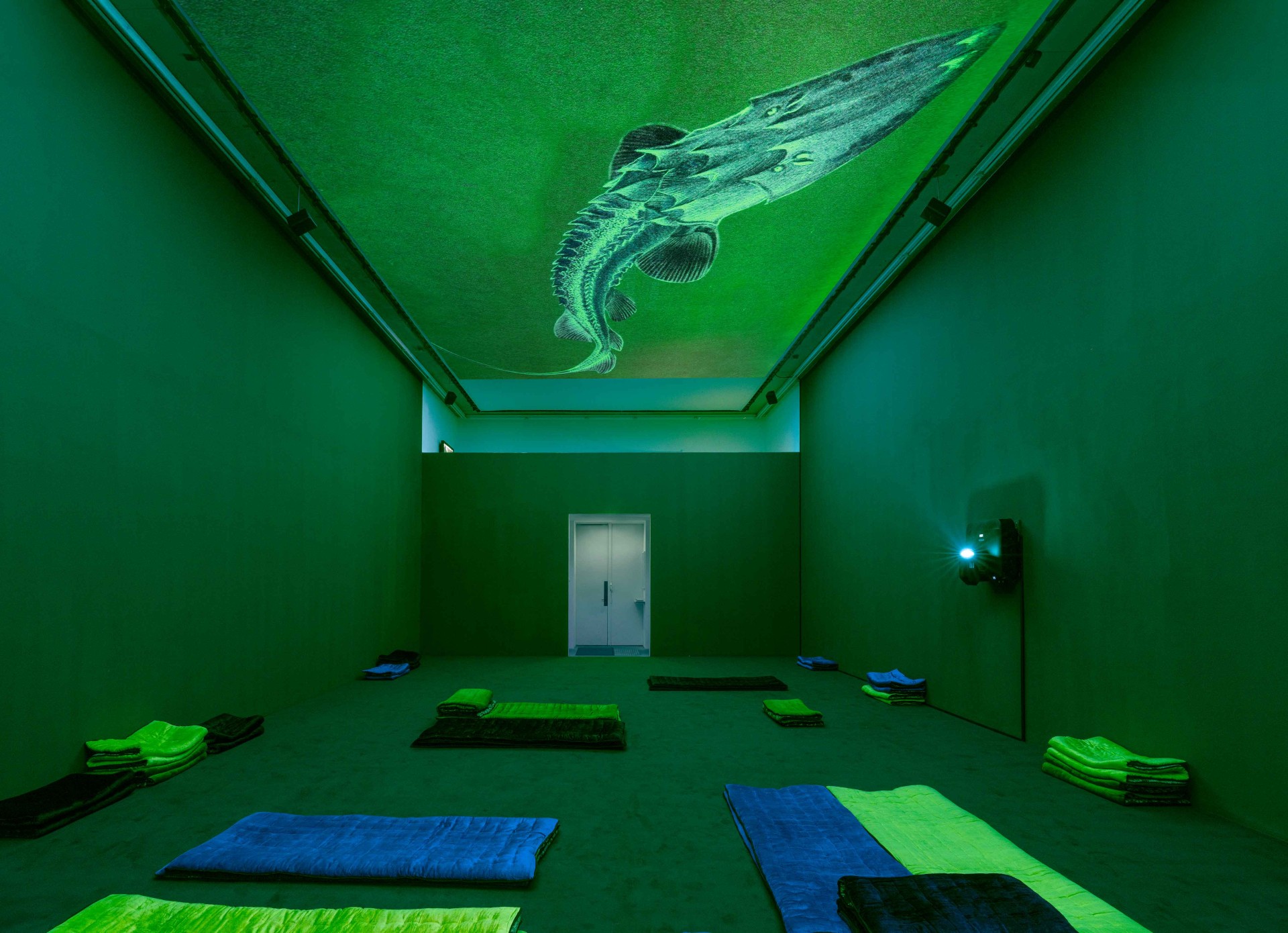Grüner Raum mit gefalteten Decken und projiziertem Fisch an der Decke. Atmosphärische, meditative Installation.